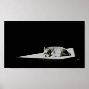 Poster Seul dans la lumière