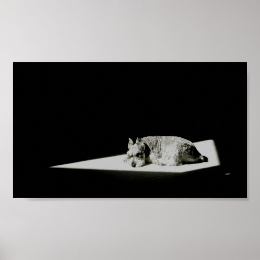 Poster Seul dans la lumière (Devant)