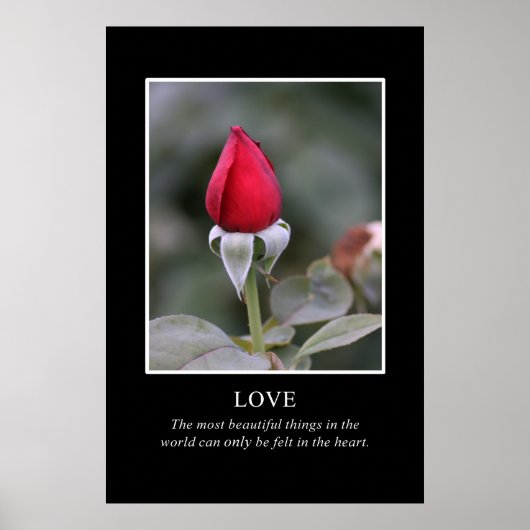 Poster Seul le coeur connaît la vraie beauté (Devant)