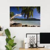 Poster Seychelles, île de Mahe, Anse à la Mouche (Bureau à domicile)