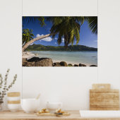Poster Seychelles, île de Mahe, Anse à la Mouche (Cuisine)