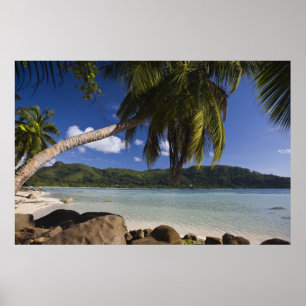 Poster Seychelles, île de Mahe, Anse à la Mouche
