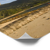 Poster Seychelles, île de Mahe, palmier horizontal, (Coin)