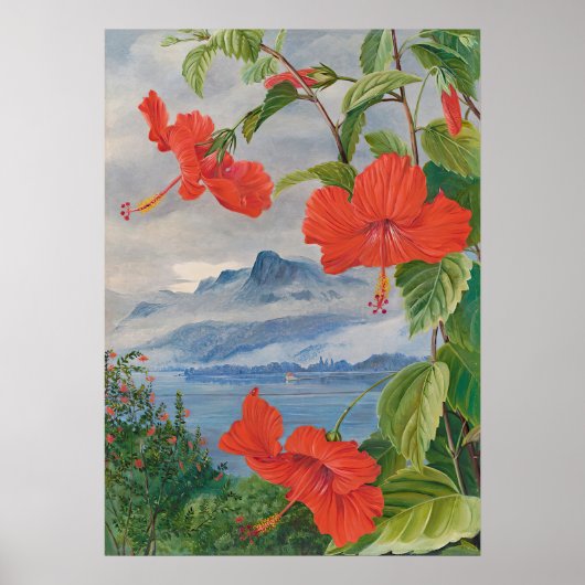 Poster Seychelles par Marianne North - Paysage exotique (Devant)