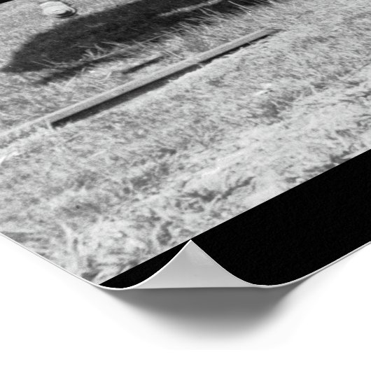 Poster SF&C St Ry #25 (Coin)