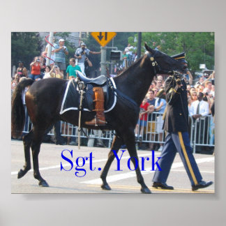 Poster Sgt York Le Cheval Sans Riderless