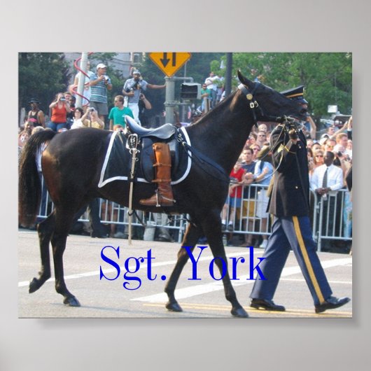 Poster Sgt York Le Cheval Sans Riderless (Devant)