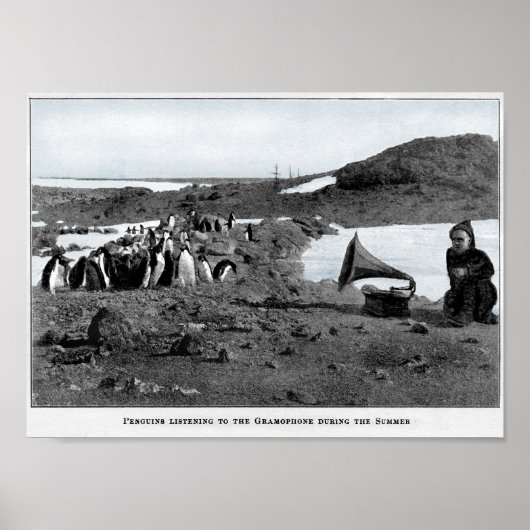 Poster Shackleton en Gramophone Antarctique avec des ping (Devant)
