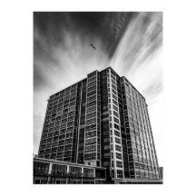 Shadows and Steel: The Silent Giant in the City