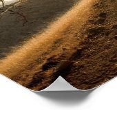 Poster Shady Oak et California Susnet Print (Coin)