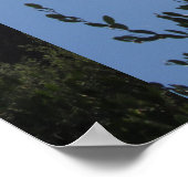 Poster Shady Saguaro (Coin)