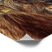 Poster Shaggy Highland Beef Peinture à l'huile de vache D (Coin)