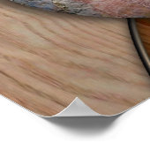 POSTER SHAMAN BLANC (Coin)