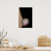 POSTER SHAMAN BLANC (Cuisine)