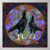 Poster Shamo:  Black Pair (Devant)