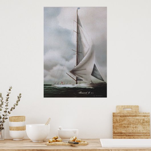 POSTER SHAMROCK IV (Cuisine)