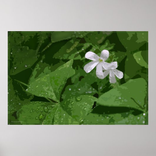 Poster shamrock sans texte -36x24 -ou plus petit (Devant)