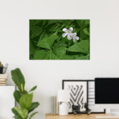 Poster shamrock sans texte -36x24 -ou plus petit (Bureau à domicile)