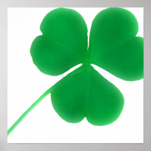 Poster Shamrock vert irlandais simple   Saint Patrick's D