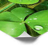 Poster Shamrock vert St Patrick iPhone 5 Coque-Mate (Coin)