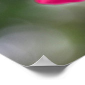 Poster Shanghai Beauty (Coin)