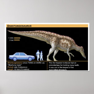 Poster Shantungosaurus - Biologie Jurassique