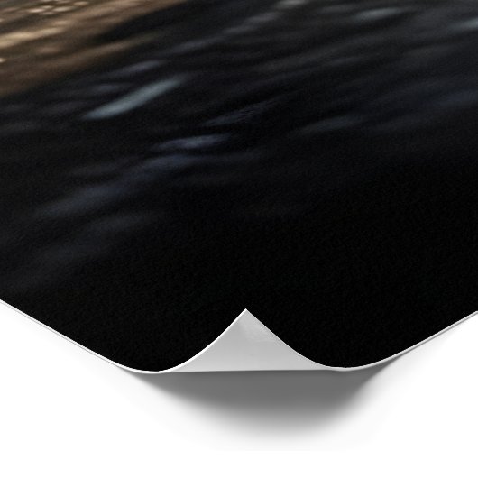 Poster Shaolin Kung Fu Warrior (Coin)