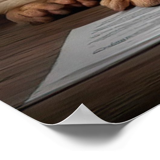 Poster Shar Pei Chien intelligent avec conception de livr (Coin)