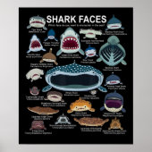 Poster Shark faces Which Face Do You Want To Encounter (Devant)