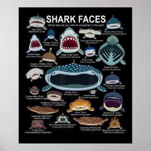 Poster Shark faces Which Face Do You Want To Encounter