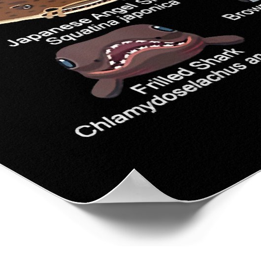 Poster Shark faces Which Face Do You Want To Encounter (Coin)