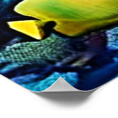 Poster Shark Ocean Predator Art (Coin)