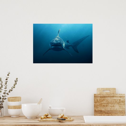 Poster Shark under water (Cuisine)
