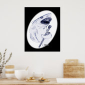 Poster Sharkey Finatra (Cuisine)