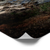 Poster Sharks Cove, Oahu (Coin)