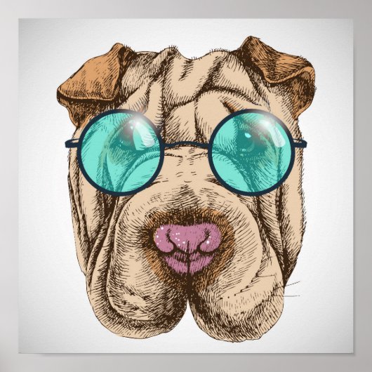 Poster Sharpei dans les lunettes de soleil (Devant)