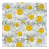 Poster Shasta Daisies (Devant)