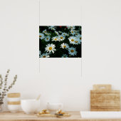 Poster Shasta Daisies II (Cuisine)
