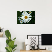 Poster Shasta Daisy (Bureau à domicile)