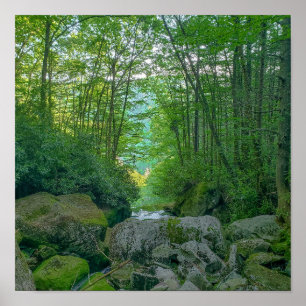 Poster Shays Run, Virginie-Occidentale