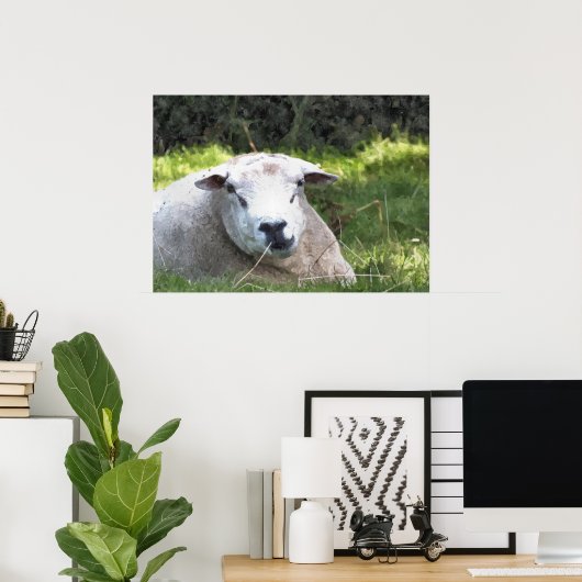 POSTER SHEEP (Bureau à domicile)