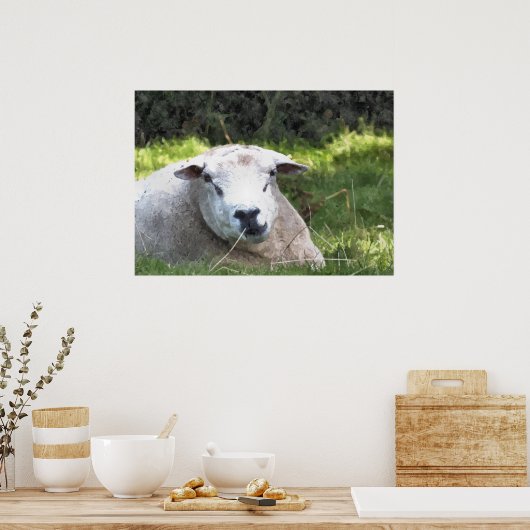 POSTER SHEEP (Cuisine)