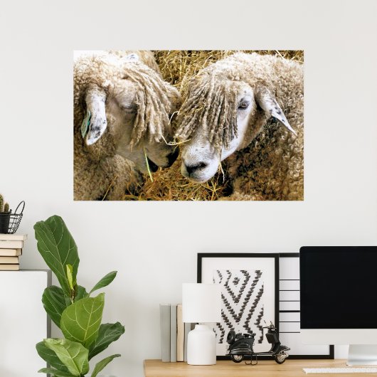 POSTER SHEEP (Bureau à domicile)