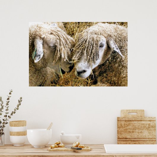 POSTER SHEEP (Cuisine)
