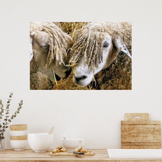 POSTER SHEEP (Cuisine)