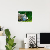POSTER SHEEP (Bureau à domicile)
