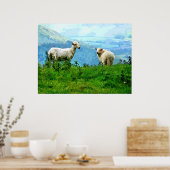 POSTER SHEEP DE MONTAGNE (Cuisine)