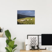 POSTER SHEEP DE MONTAGNE (Bureau à domicile)