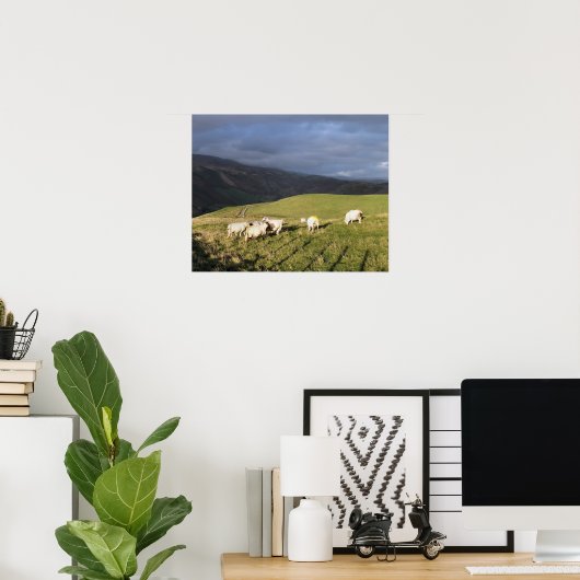 POSTER SHEEP DE MONTAGNE (Bureau à domicile)