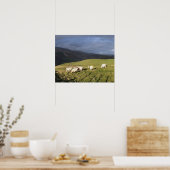 POSTER SHEEP DE MONTAGNE (Cuisine)